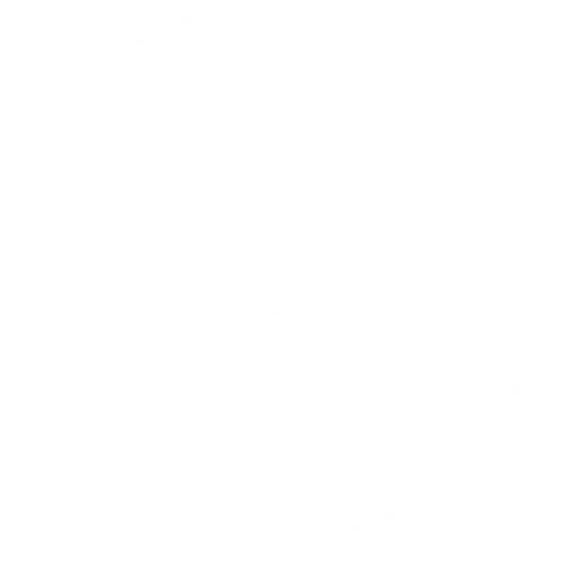 Dell Storage Logo