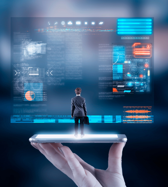 Local Government IT Solutions